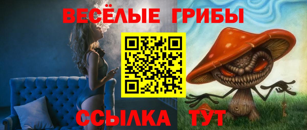 Галлюциногенные грибы ЛСД Балашов