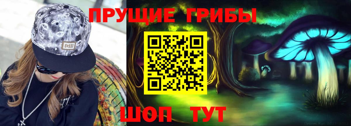 Балашов  Галлюциногенные грибы Psilocybine cubensis  Вход с VPN 